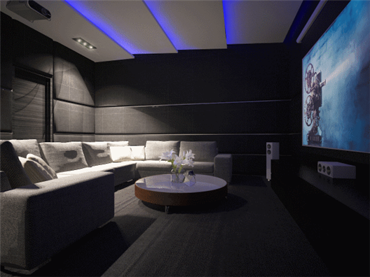 Entertainment Room